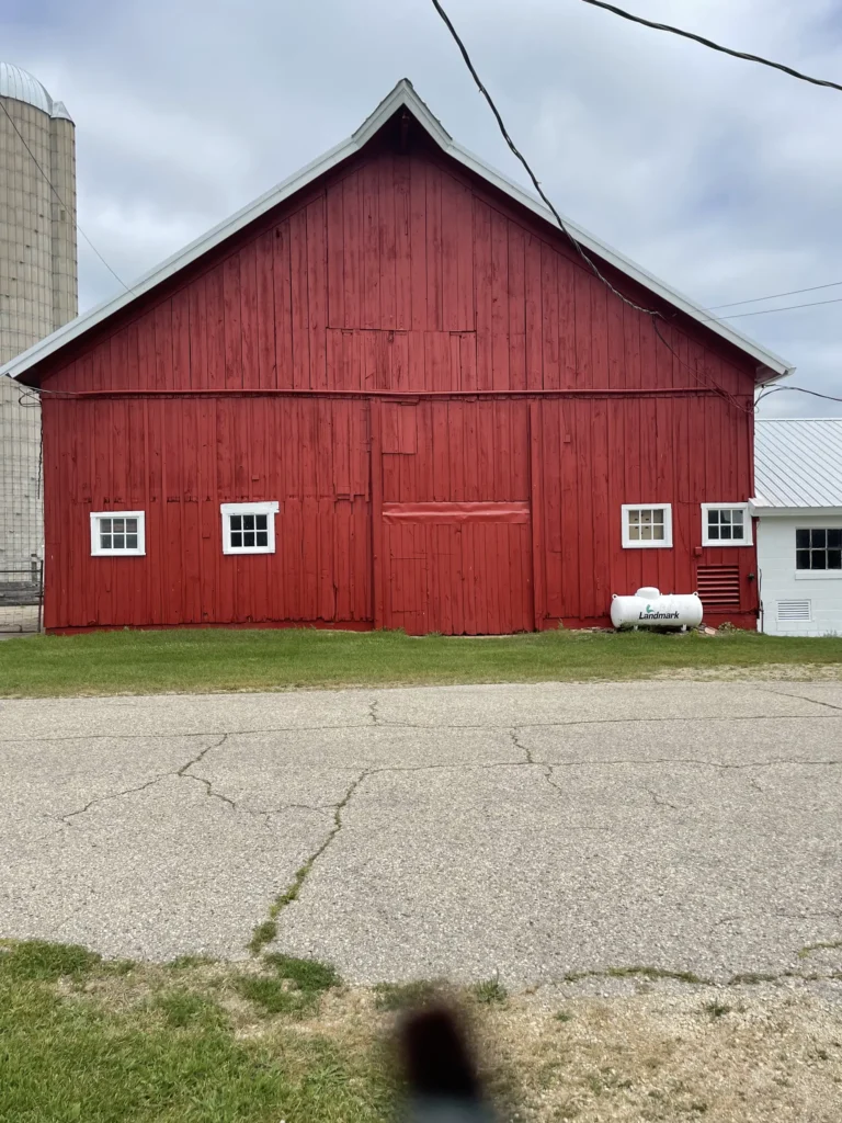 Img 3566